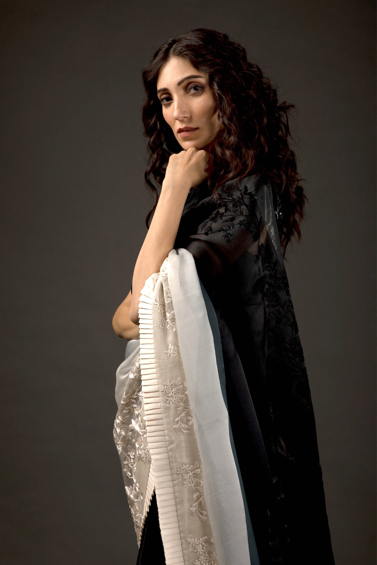 Organza Hand Embroidered Saree